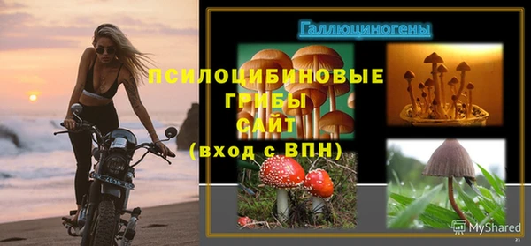 apvp Алексеевка